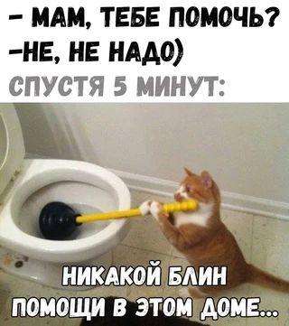 Клевые и прикольные картинки с надписями