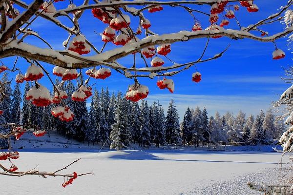 Красивые картинки про зиму