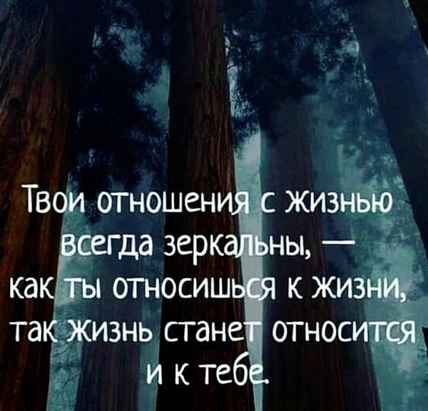 Подробнее о статье Прикольные статусы про зеркало