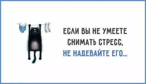 Смешные до слез статусы (картинки)