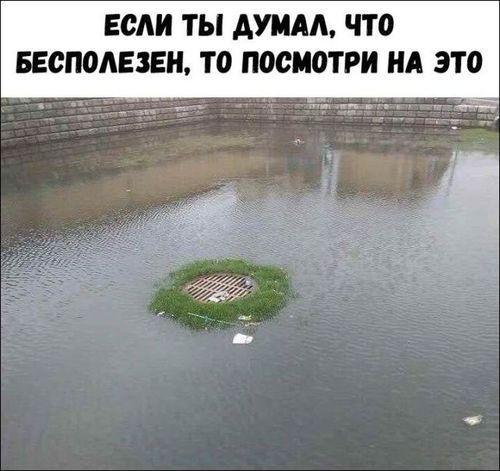 Классные ржачные картинки с надписями Подробнее о статье Классные ржачные картинки с надписями