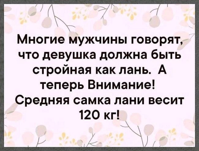 Подробнее о статье Ржачные статусы про мужчин и мужиков