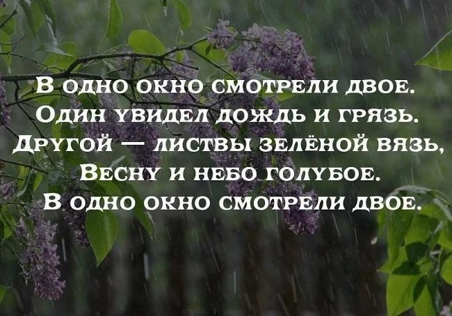 Подробнее о статье Интересные статусы про окна