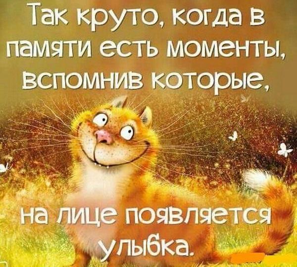 Статусы на картинках