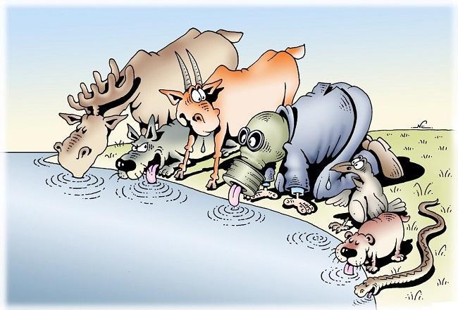 Прикольные карикатуры про животных