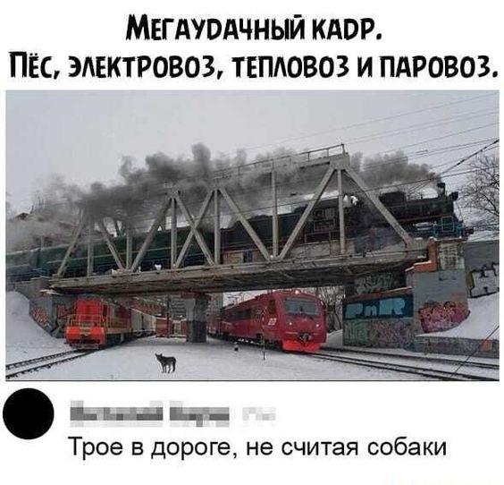 Угарные и веселые картинки с надписями