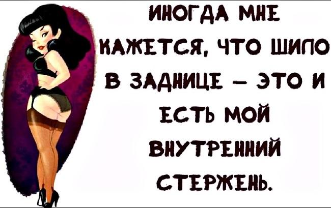 Подробнее о статье Ржачные статусы про стерву