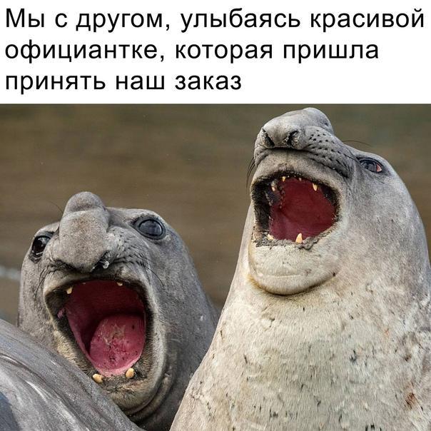 Веселые лучшие картинки с надписями