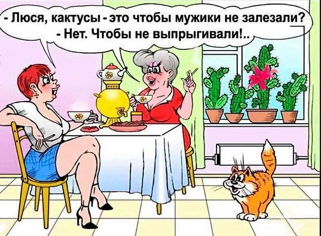 Карикатуры про женщин и девушек