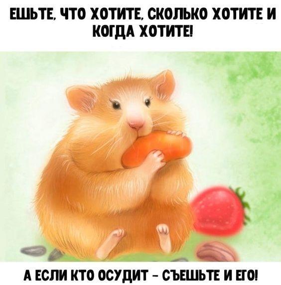 Свежие очень смешные статусы