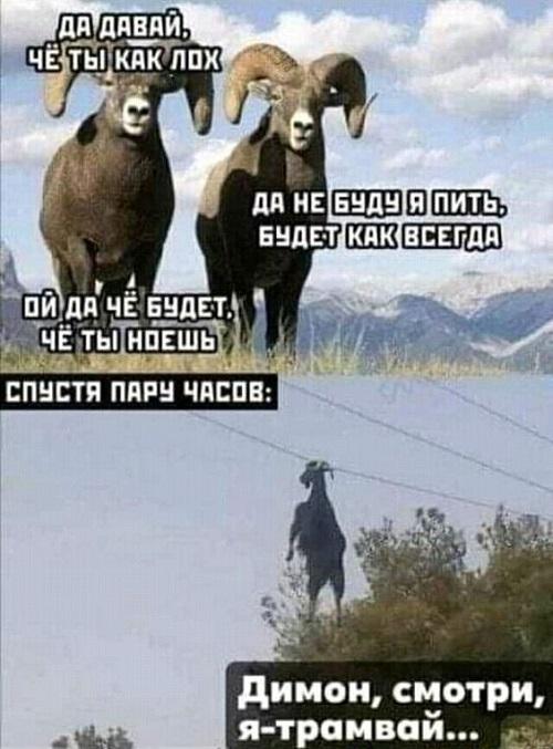 Хорошие самые смешные картинки с надписями