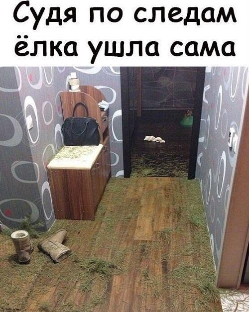 Классные смешные картинки с надписями