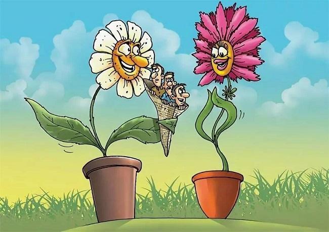 Анекдоты и шутки про цветы