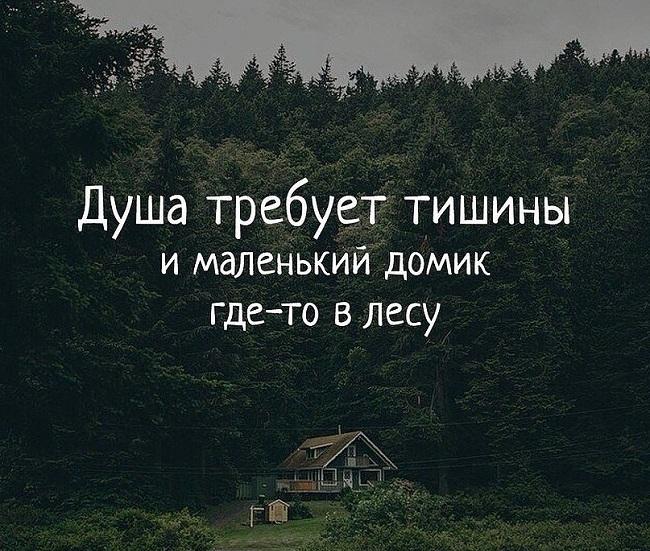 Красивые статусы про тишину