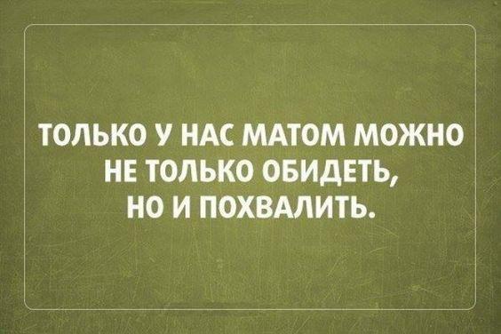 Смешные до слез статусы на разные темы (картинки)