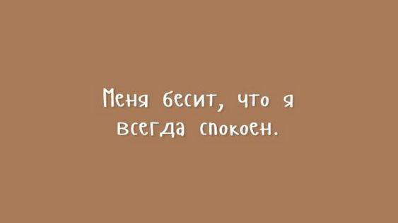 Подробнее о статье Лучшие шутки