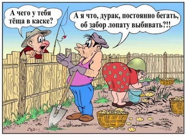 Прикольные до слез карикатуры на разные темы