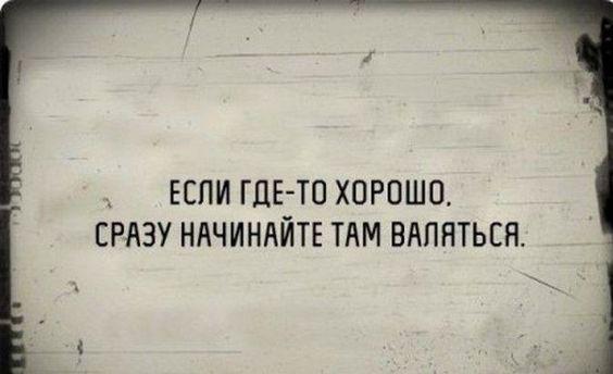 Подробнее о статье Читать прикольные до слез шутки