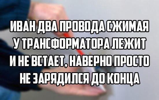 Смешные до слез стишки на картинках