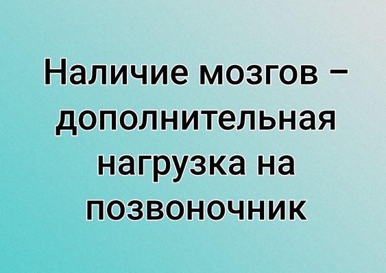 Подробнее о статье Свежие очень смешные шутки