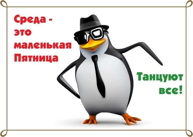 Подробнее о статье Прикольные картинки про среду