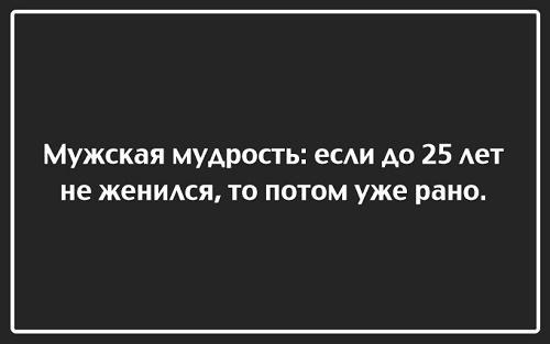 Прикольные цитаты и шутки на картинках