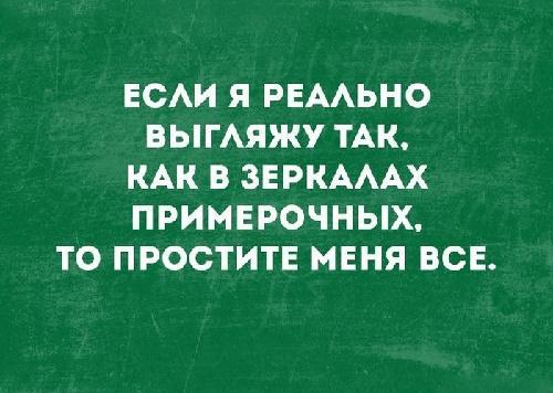 Прикольные цитаты и шутки на картинках