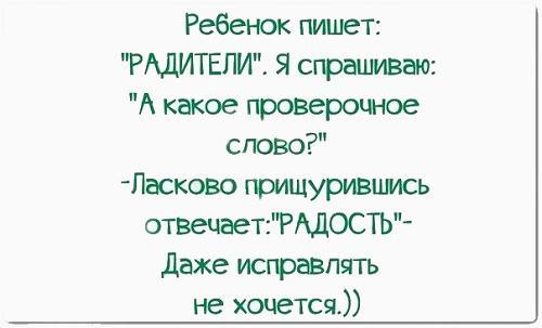 Прикольные цитаты и шутки на картинках