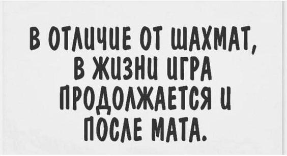 Подробнее о статье Свежие угарные шутки