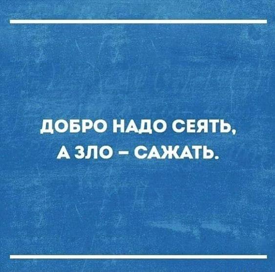 Подробнее о статье Читать свежие прикольные шутки