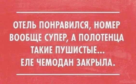 Подробнее о статье Читать свежие забавные шутки