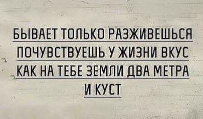 Подробнее о статье Читать свежие хорошие шутки