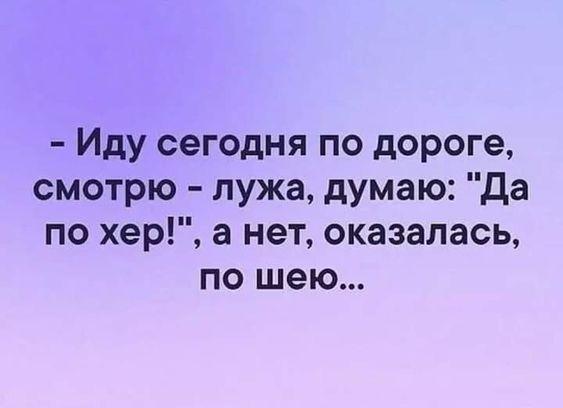 Подробнее о статье Читать свежие угарные шутки