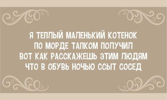 Очень смешные стишки на картинках