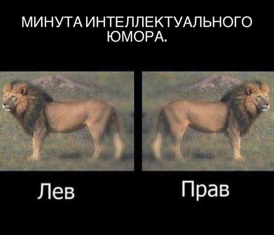 Классные угарные картинки с надписями