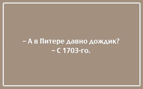 Подробнее о статье Прикольные цитаты и шутки на картинках