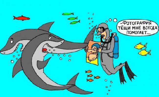Анекдоты про акул