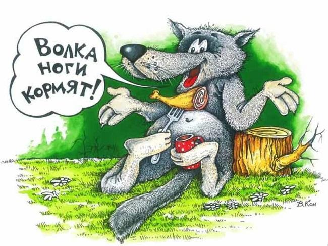 Анекдоты про волка