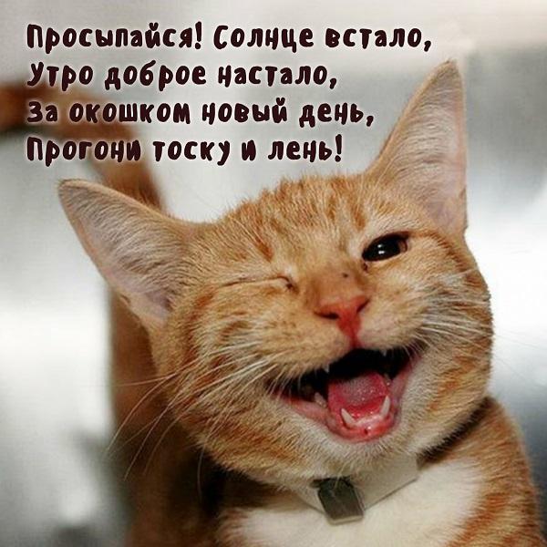 Хорошего вам доброго утра - позитивные картинки