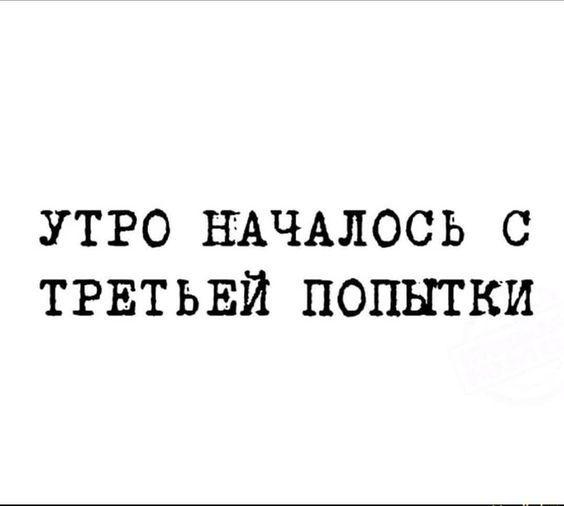 Подробнее о статье Читать новые прикольные шутки