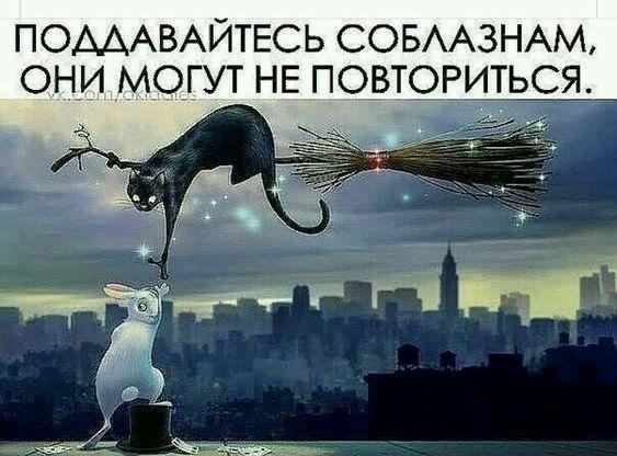 Веселые картинки и мемы