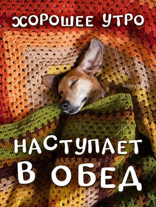 Веселые картинки и мемы