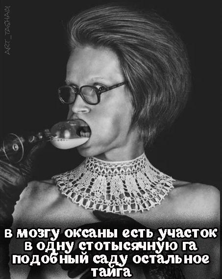 Веселые картинки и мемы