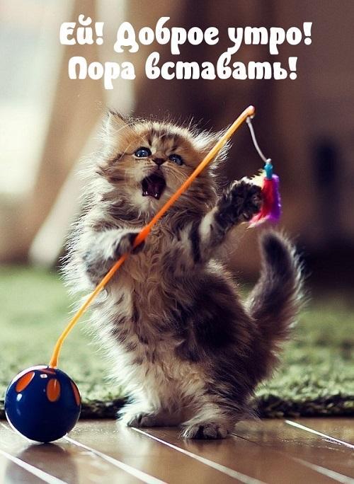 Хорошего вам доброго утра - позитивные картинки