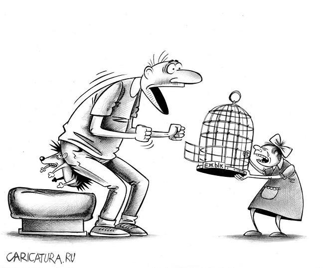 Подборка очень смешных слез карикатур