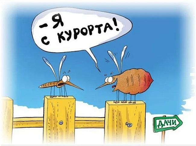 Смешные карикатуры про комаров