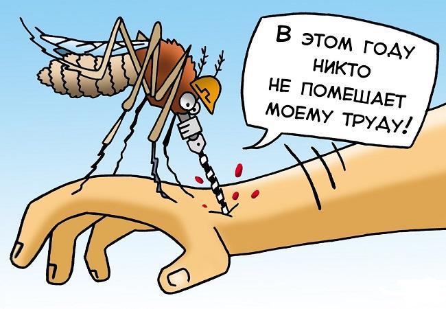 Смешные карикатуры про комаров