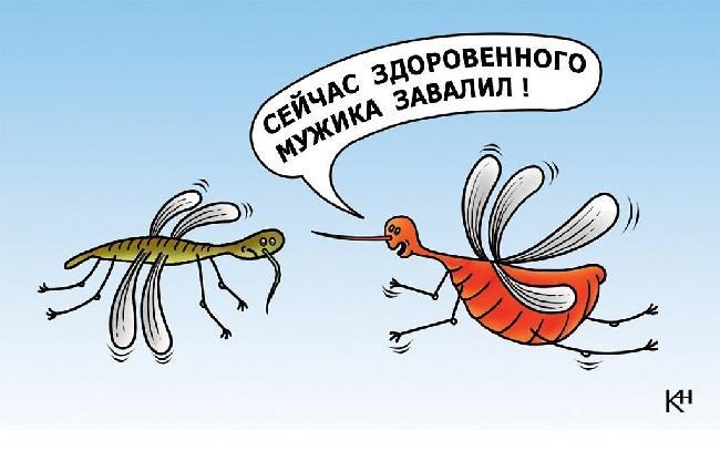 Смешные карикатуры про комаров