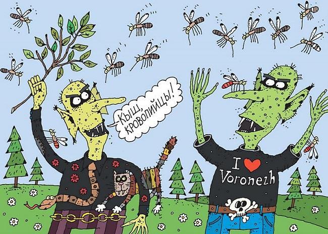 Смешные карикатуры про комаров