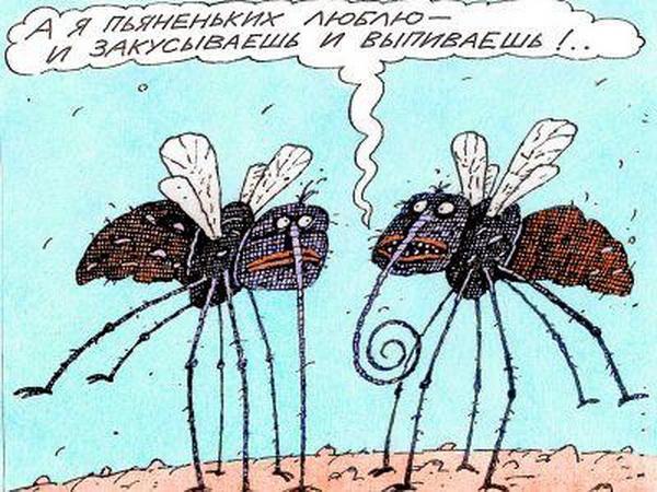 Смешные карикатуры про комаров